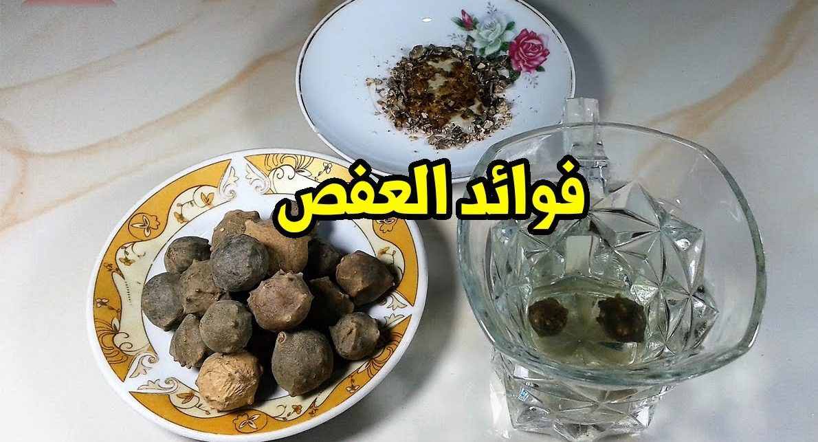 فوائد العفص للرجال والنساء