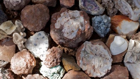 الصخور الناتجة عن تبريد الماجما تسمى ( الإجابة الصحيحة )