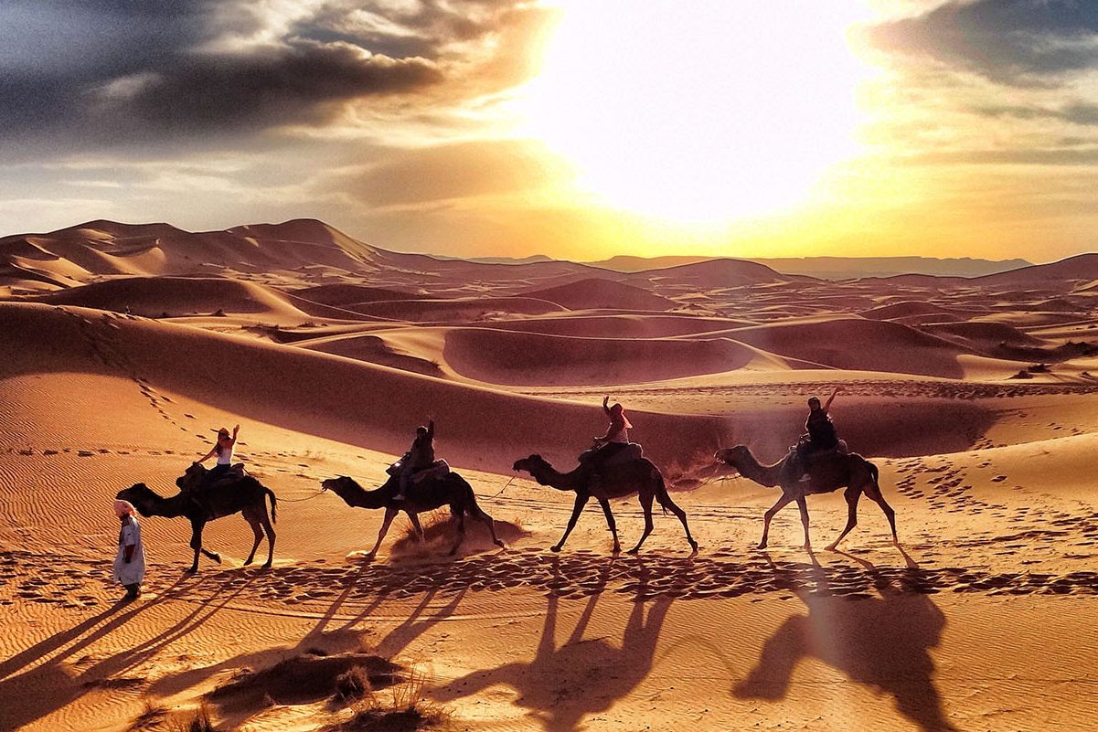 اكبر قبيلة في السعودية بحسب التعداد السكاني