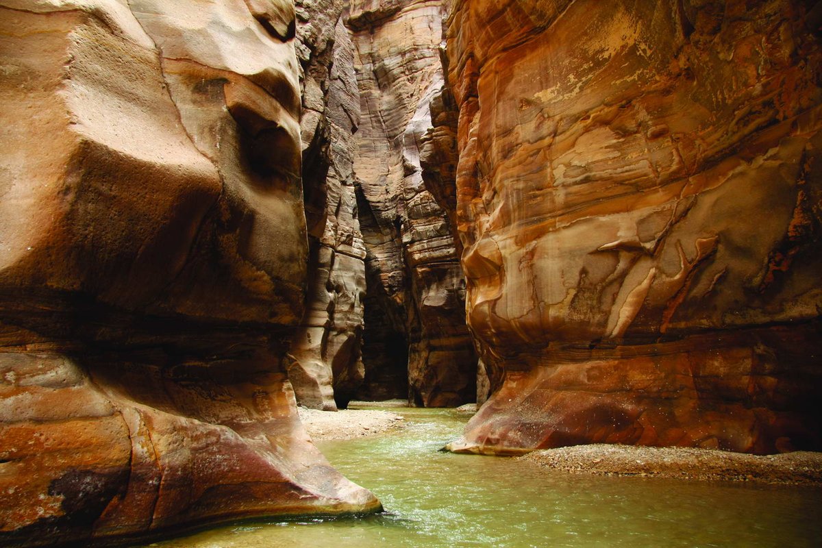 أين تقع محمية وادي الموجب