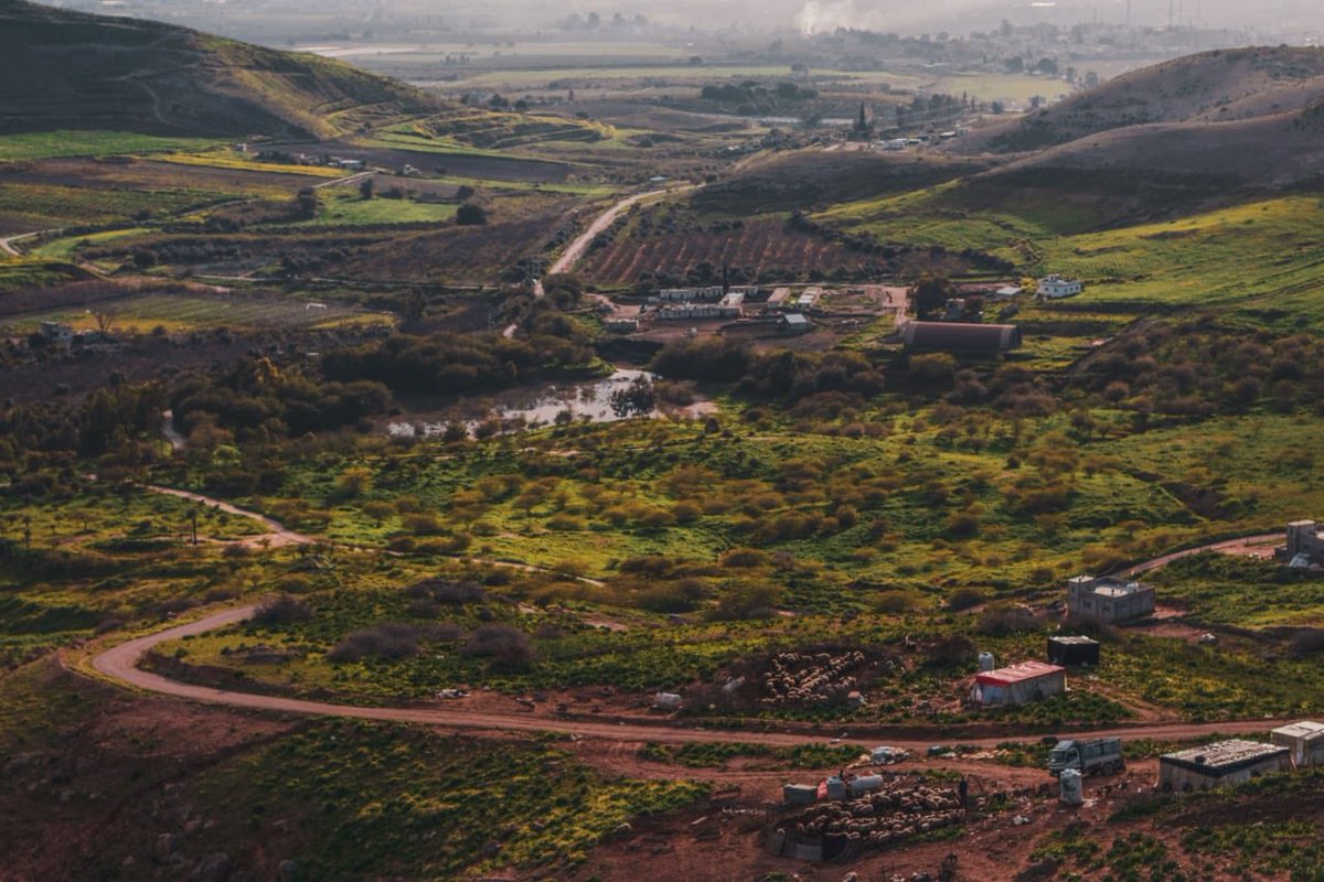 اين تقع اربد