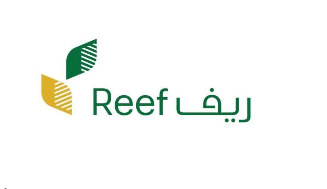 هل دعم ريف يؤثر على التقاعد