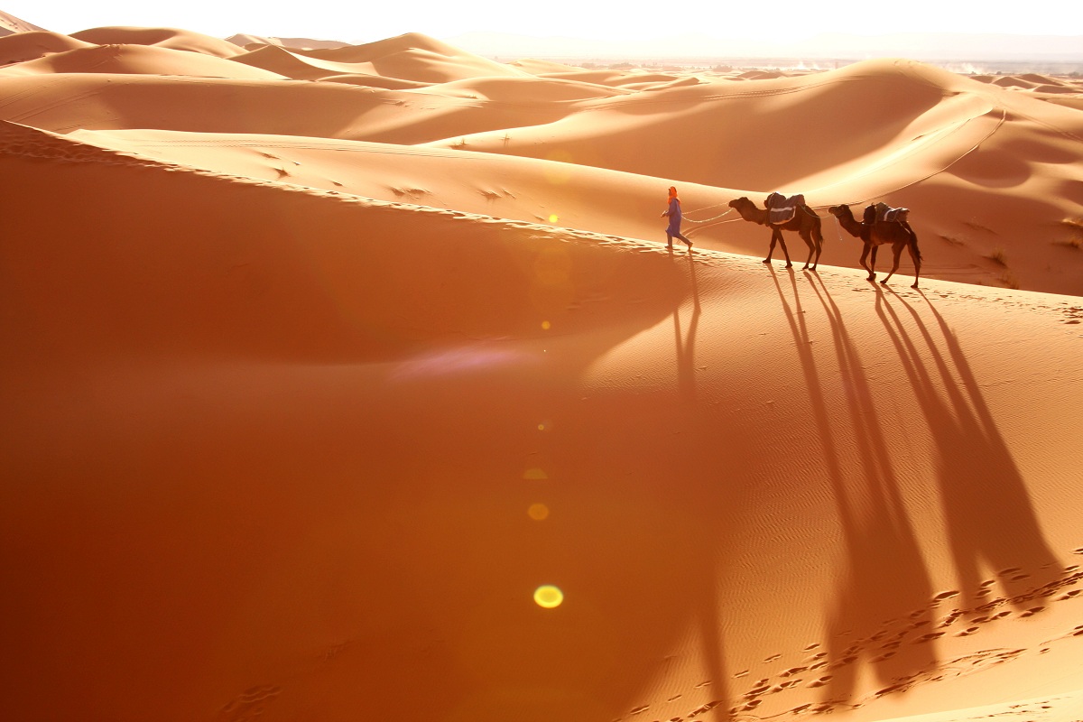 العمري وش يرجعون أصل القبيلة الحقيقي