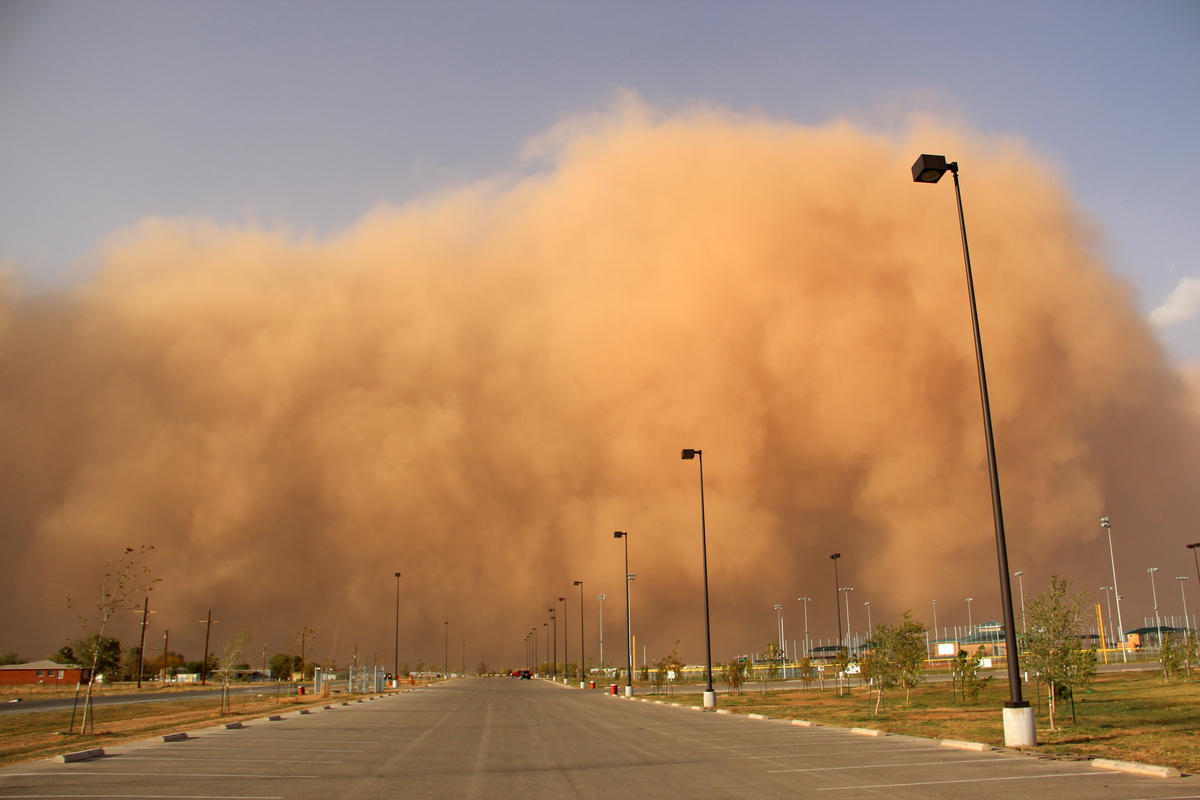 الى متى يستمر الغبار في الرياض