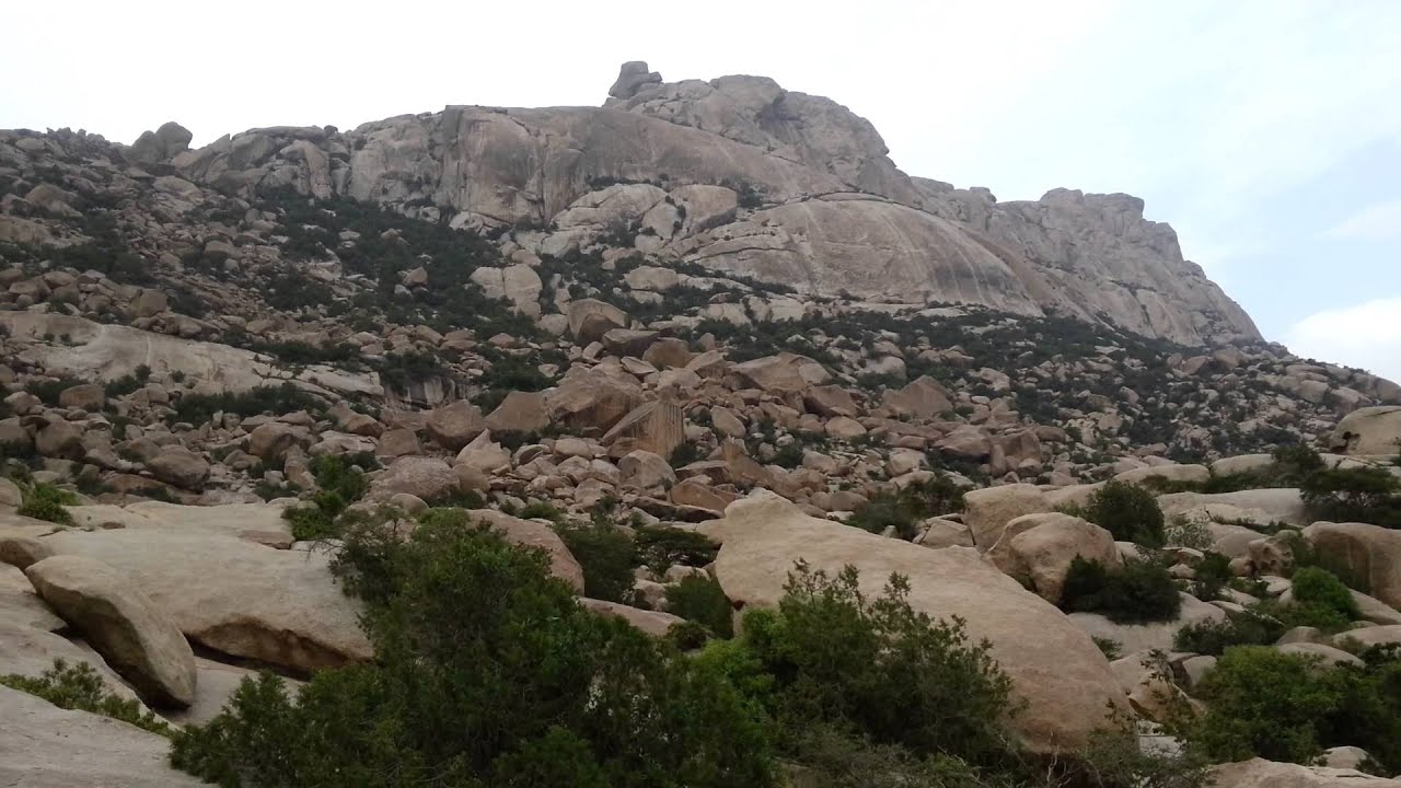 جبال الحجاز هي اقل الجبال امتدادا وارتفاعا صح ام خطا