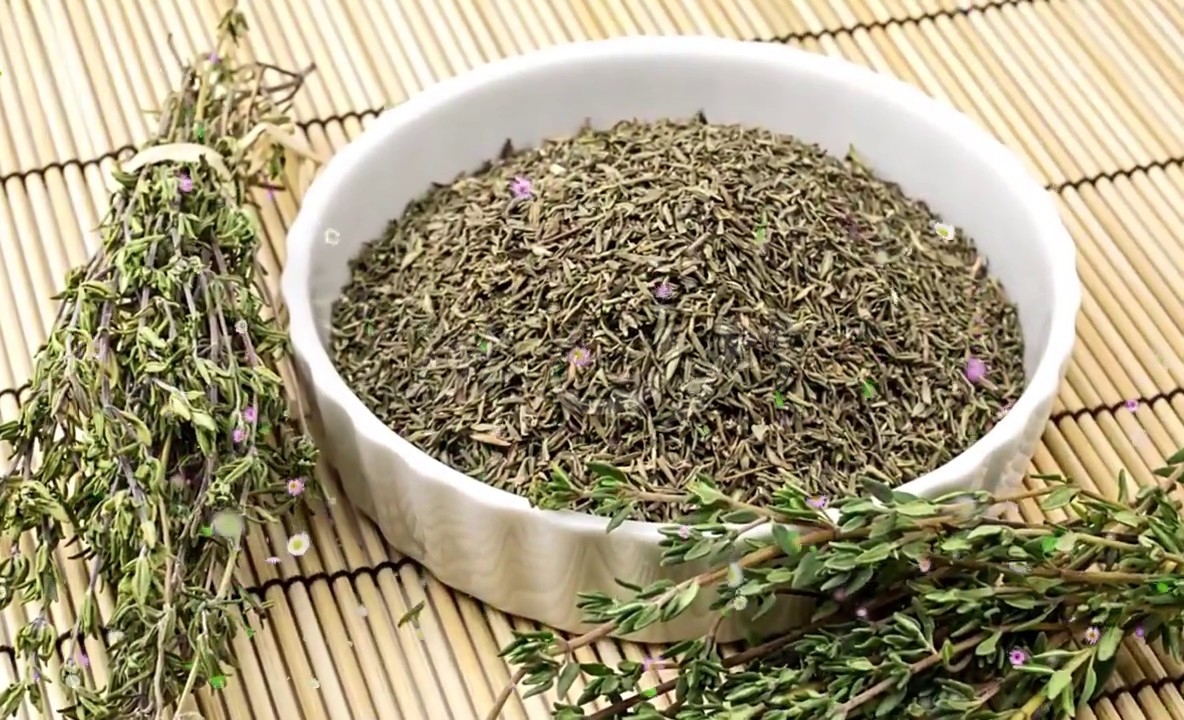 تفسير رؤية الزعتر في المنام لابن سيرين في الخير والشر