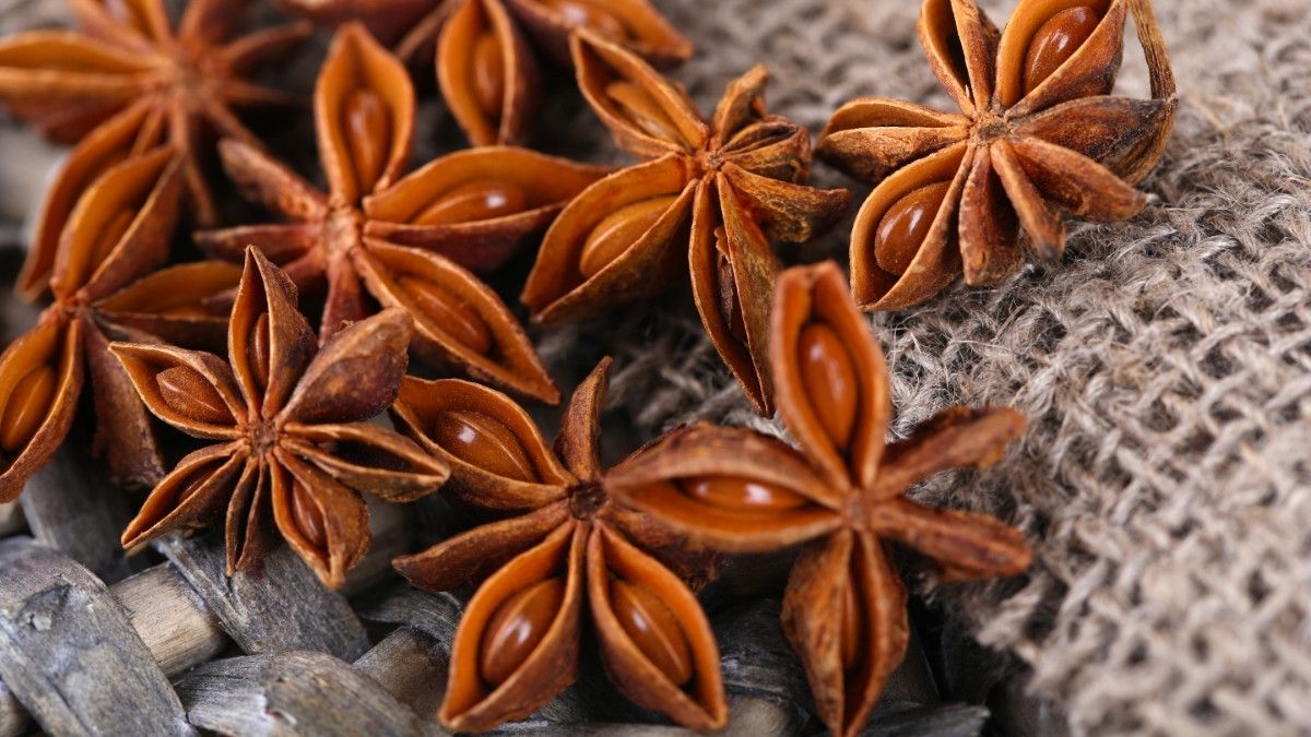 طريقة استعمال نجمة السعد