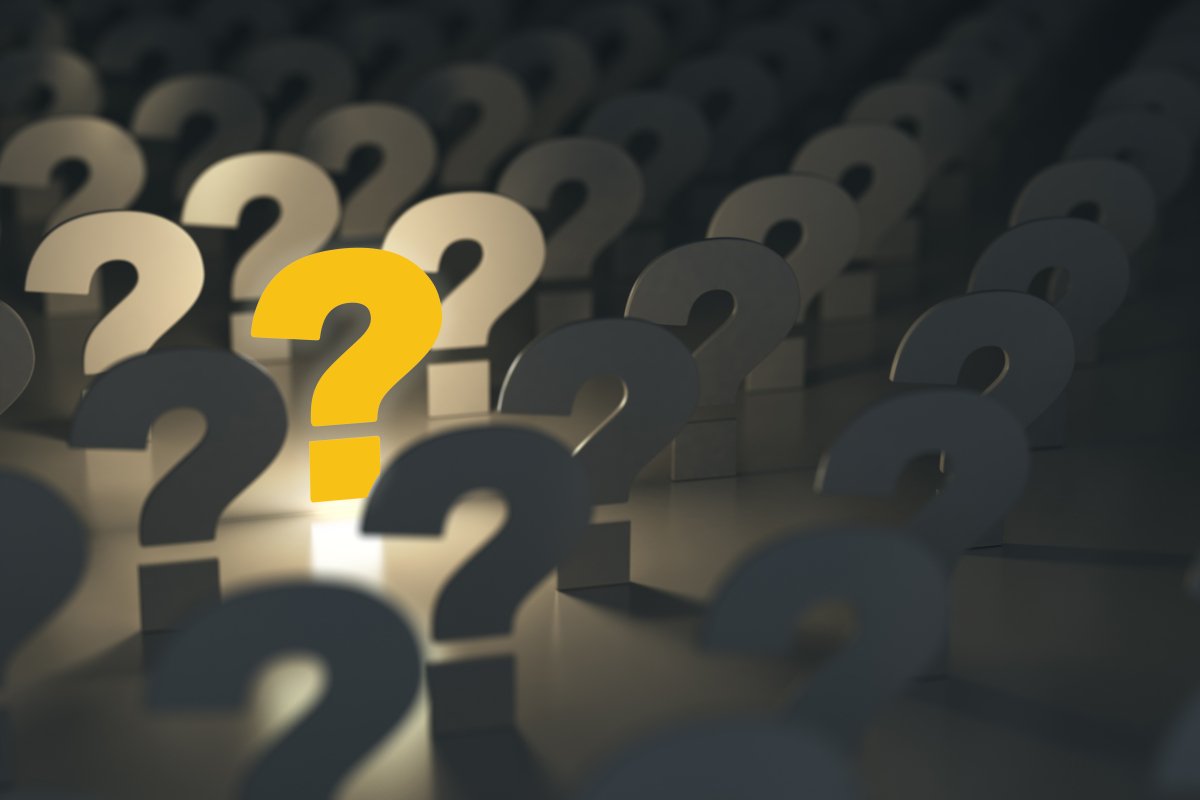 كم عدد سكان القطيف 2024