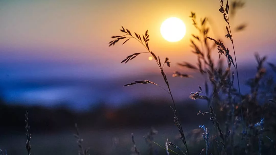 هل يجوز الافطار في صيام القضاء