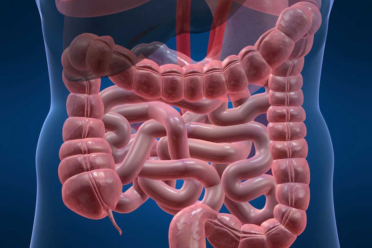 ما هو المصران الأعور