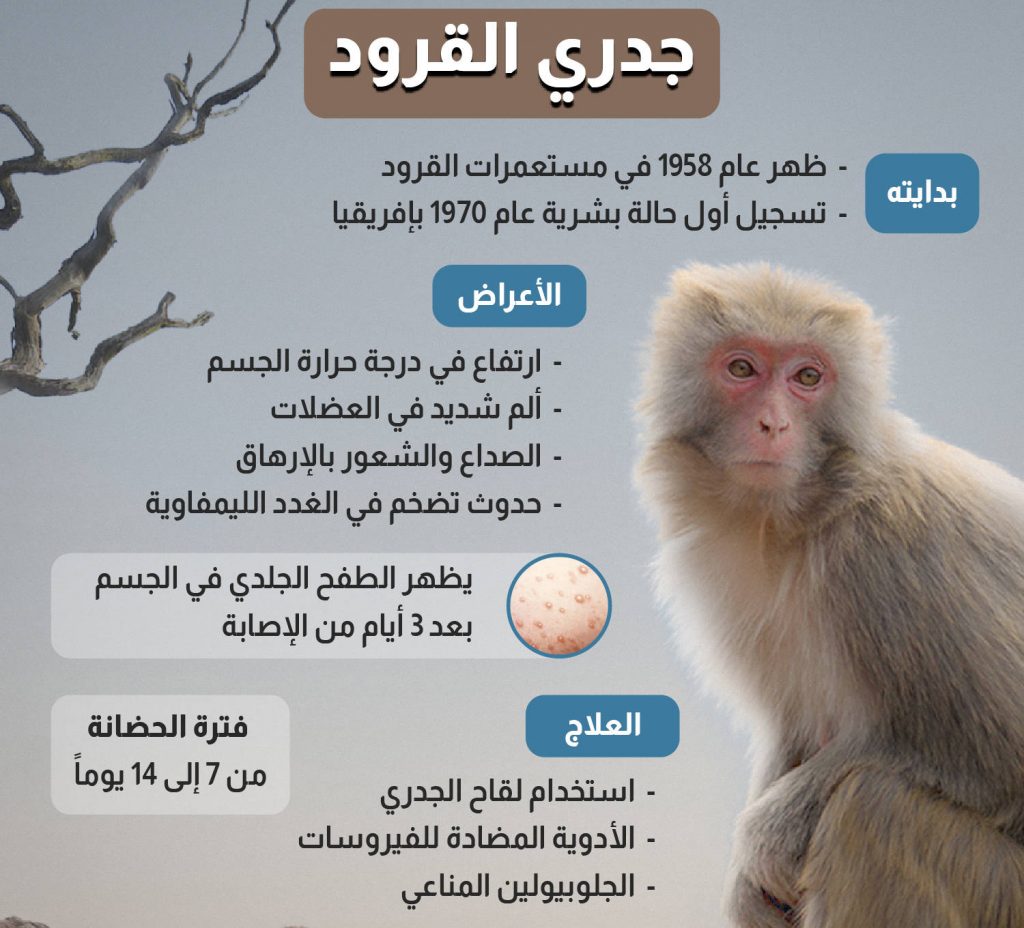 جدري القرود كيف ينتقل..