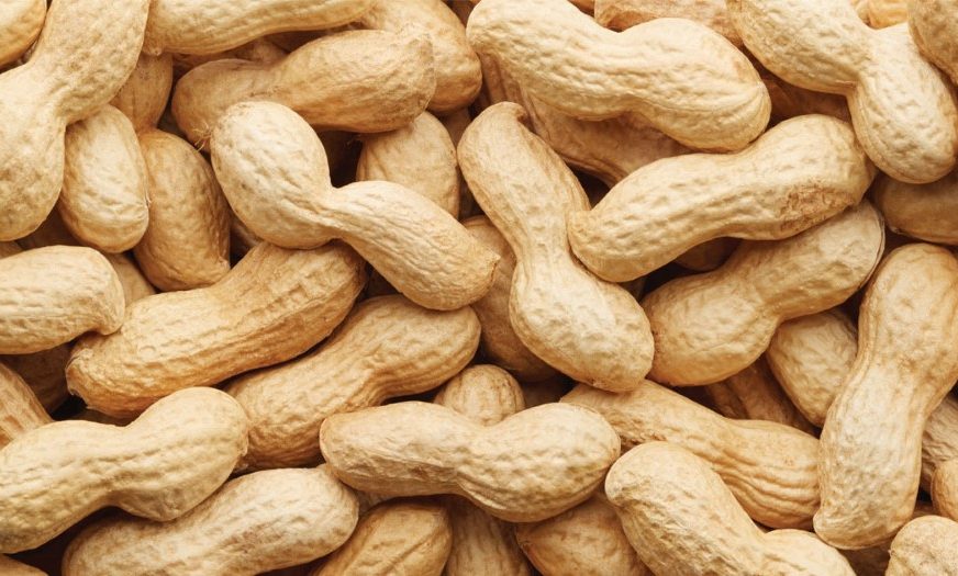 ما معنى سبال بالسعودي 