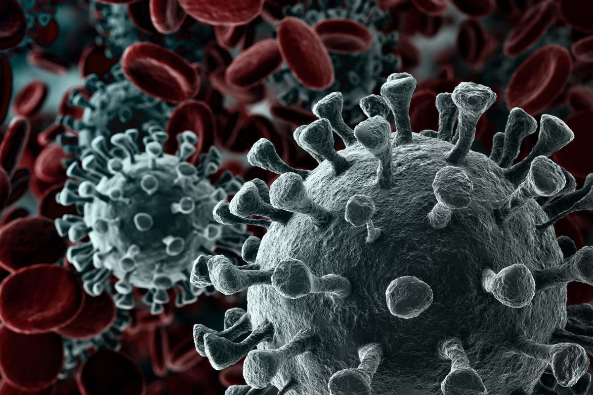 ما الفرق بين جدري القرود وفيروس كورونا ؟