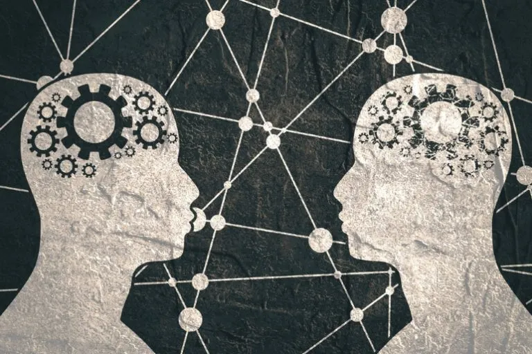 لماذا يدرس طلبة اللغات علم الاجتماع 