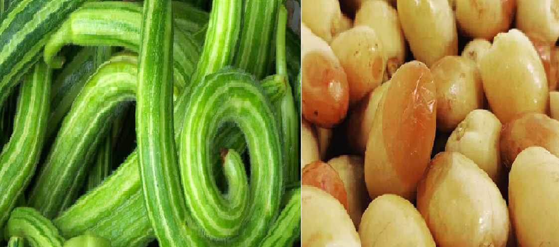ما هو القثاء بالرطب