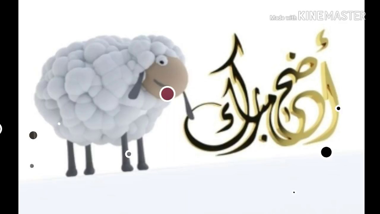 ماذا تفعل في عيد الأضحى