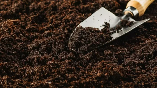ما هي التربة الغرينية - موسوعة
