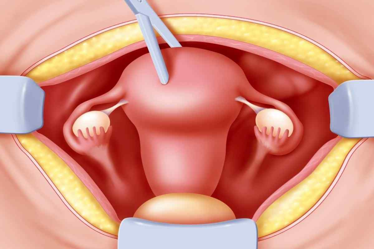 اين يتم افراز هرمونات المبيض