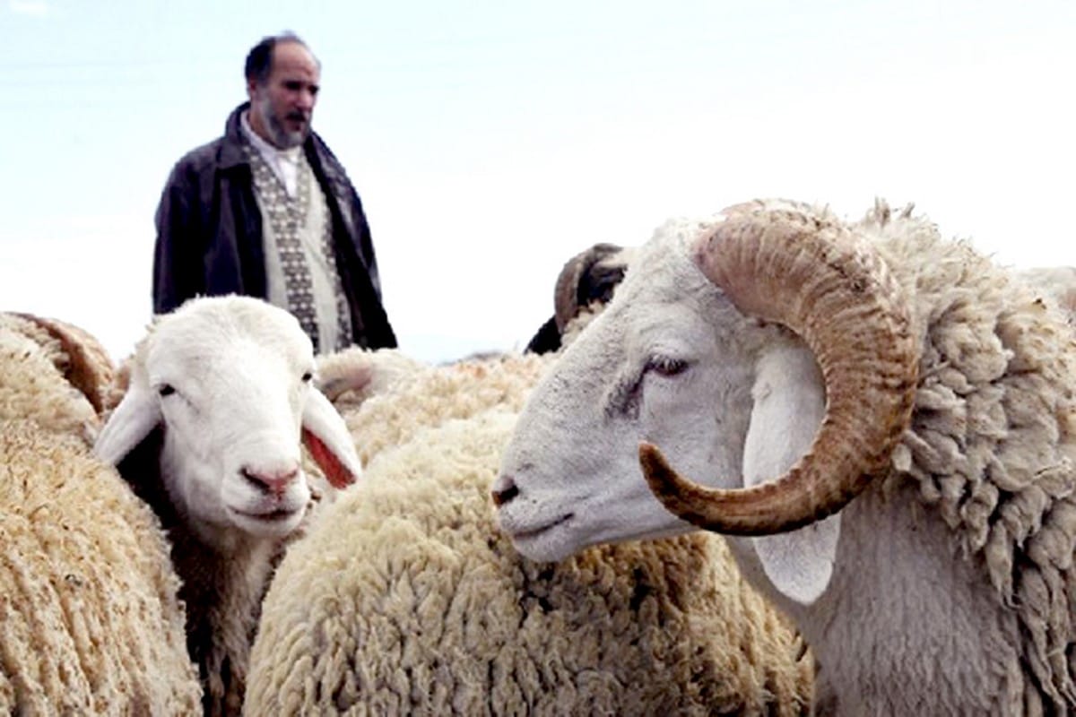 العيد الكبير يوم كام 2024