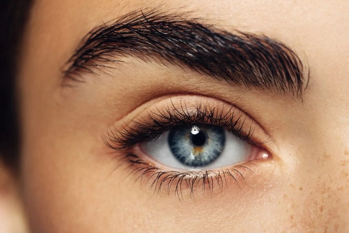 تفسير حلم فقدان عين واحدة في المنام