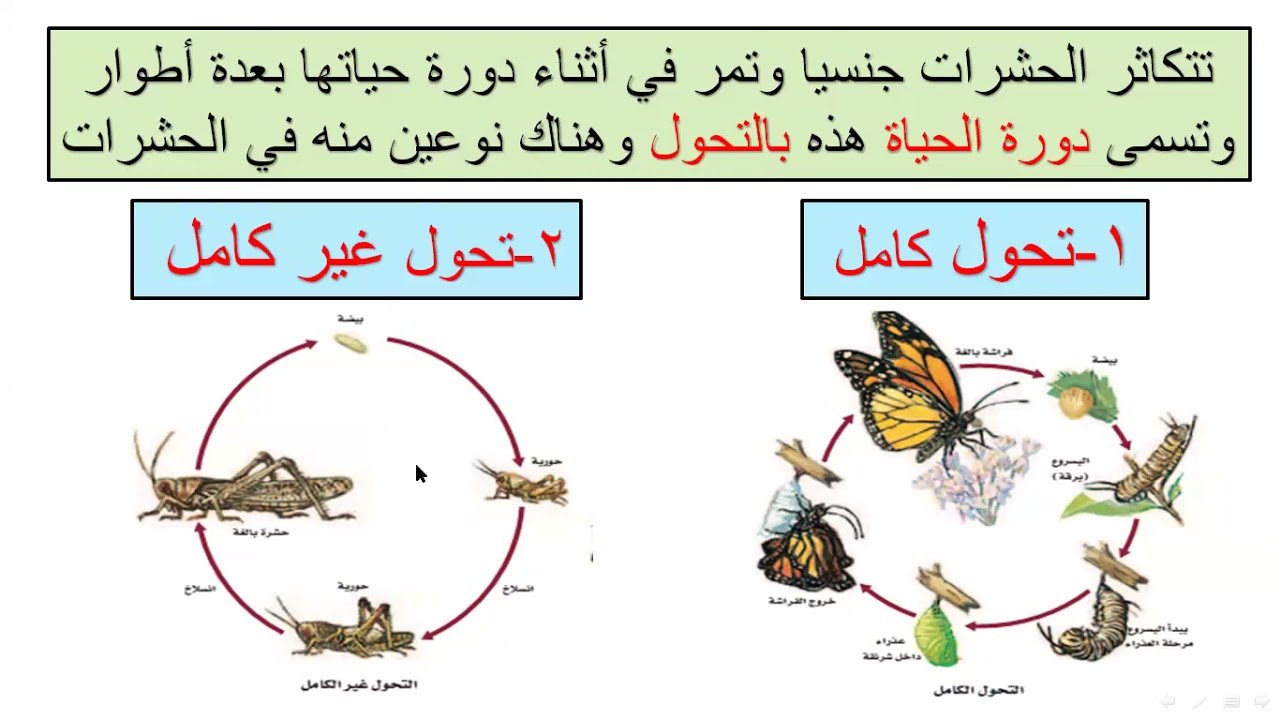 من امثلة التحول الناقص