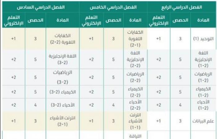 ما هو مسار علوم الحاسب والهندسة ثانوي