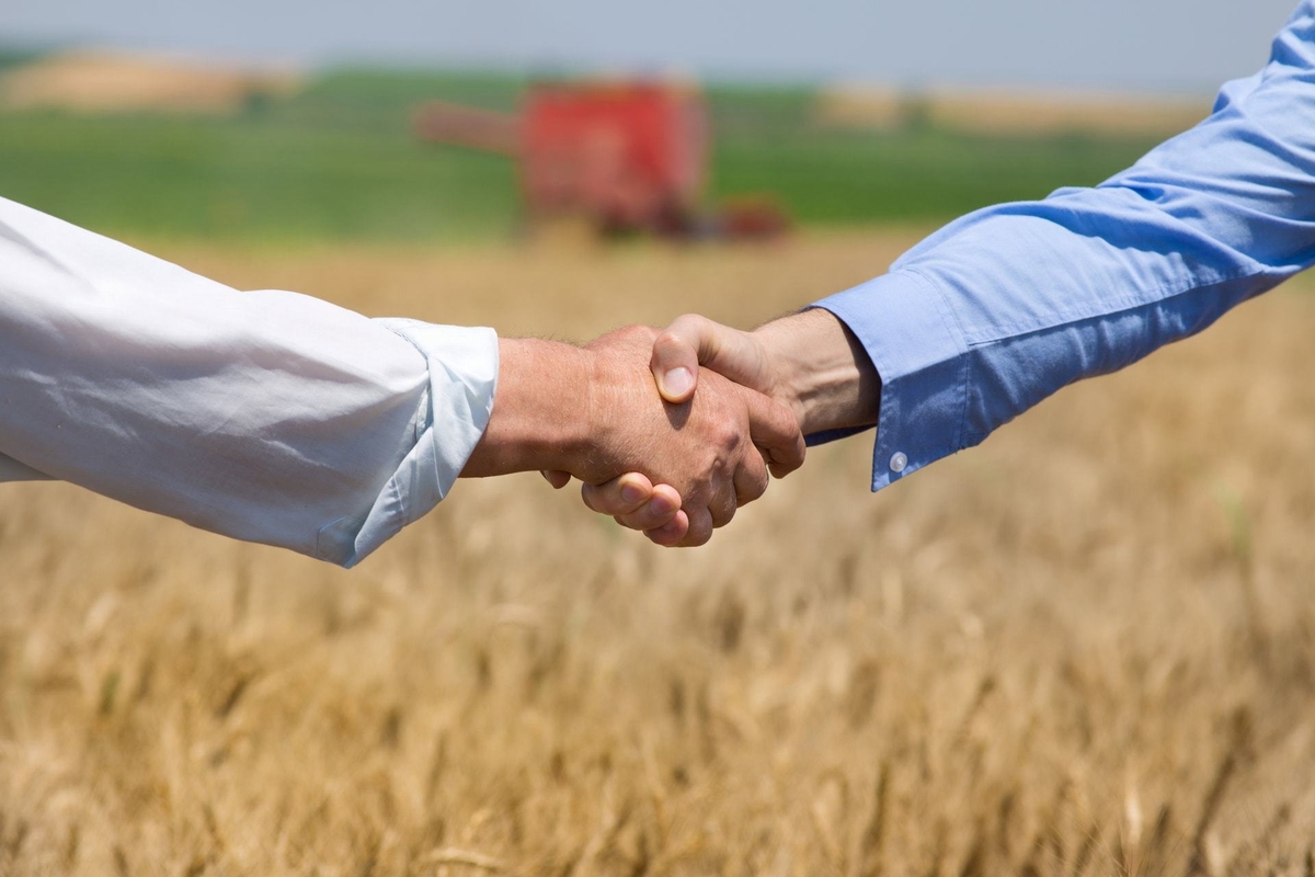 رابط المنصة الوطنية للأسر المنتجة النفاذ الوطني 1445