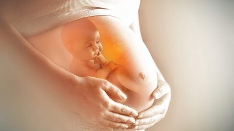 كيف تكون حركة الجنين الذكر في الشهر الخامس
