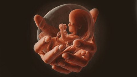 ماذا يحدث للجنين عندما تشعر الأم بالخوف