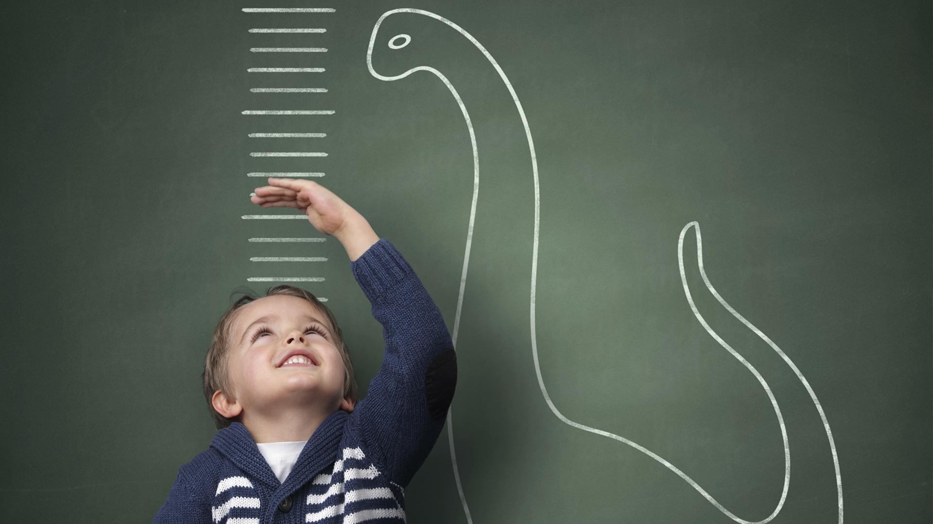 متى يتوقف طول الانثى