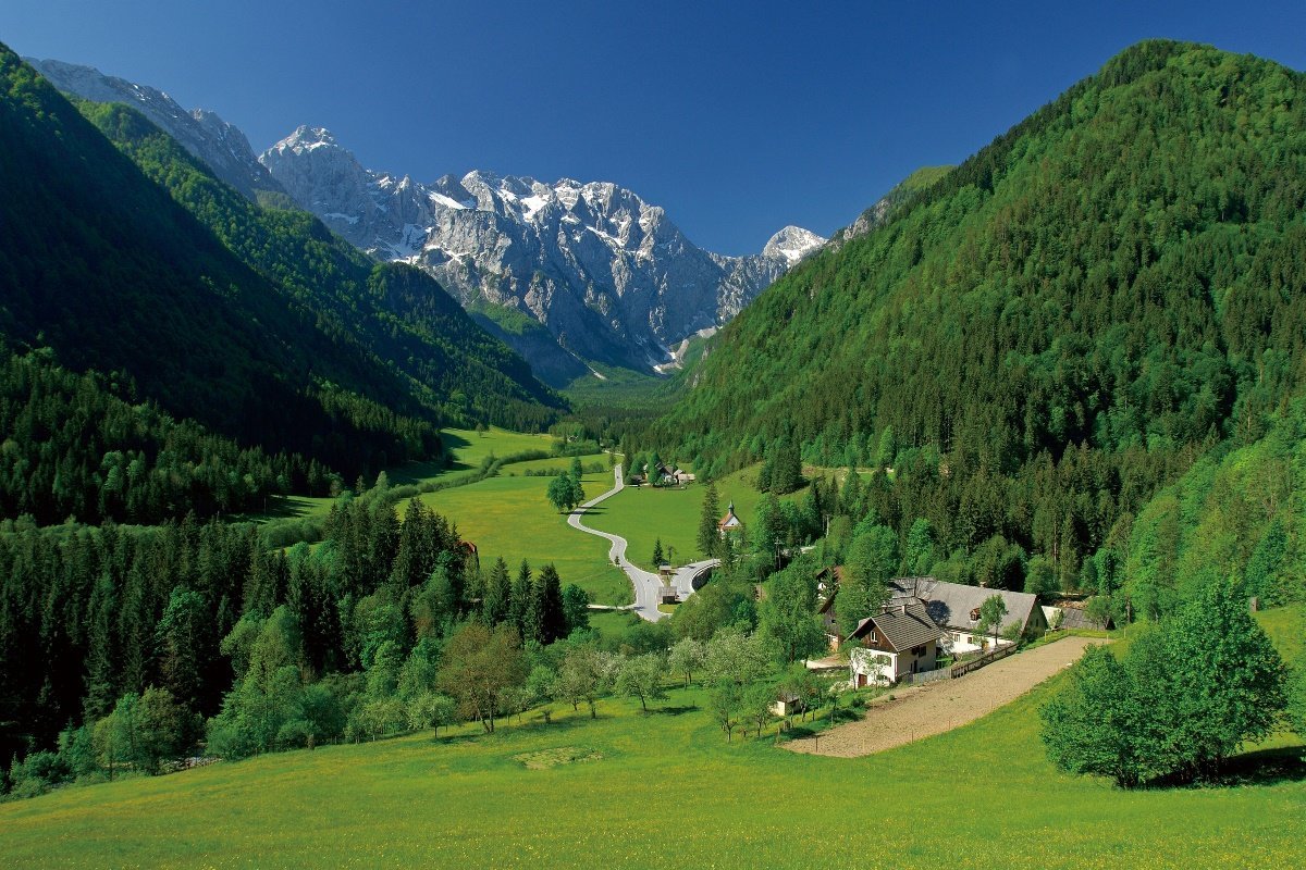 وش معنى خضير