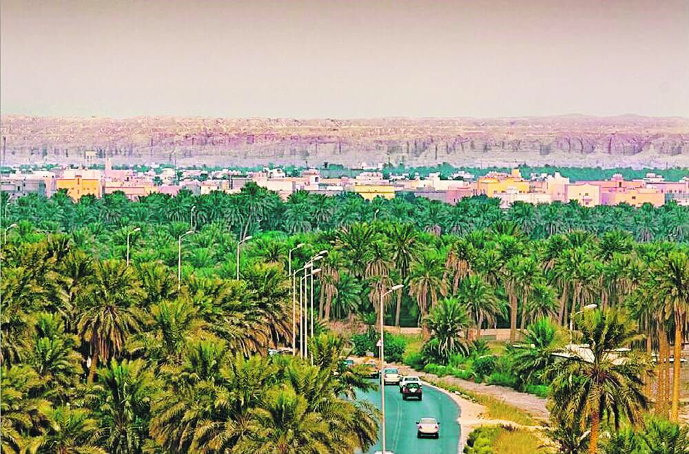 من مجالات الأمن الوطني