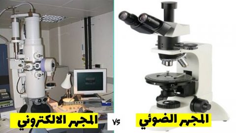 الفرق بين المجهر الضوئي والالكتروني