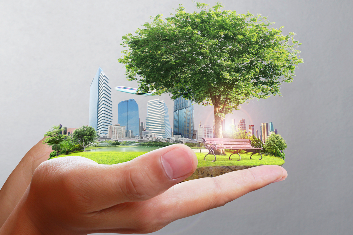 اكتب اكبر عدد ممكن من الافكار للمحافظه على بيئة وطني