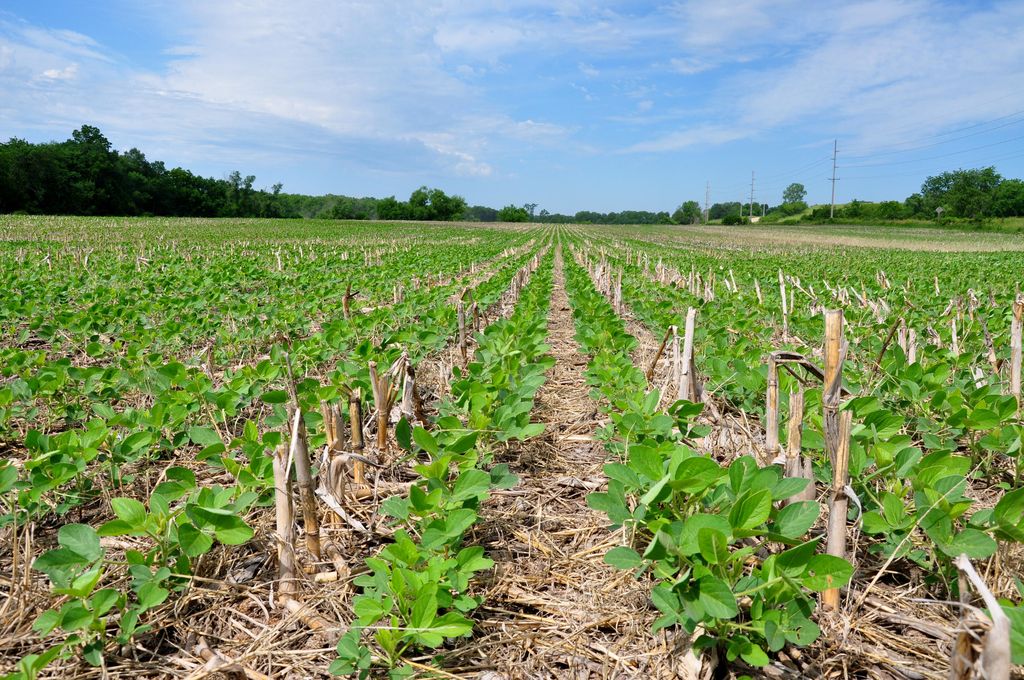 حراثة الارض في المنام