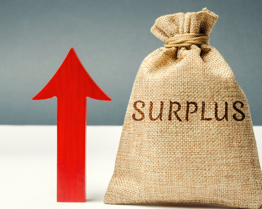 ما معنى الفائض