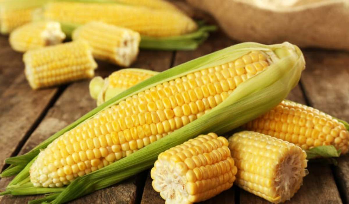 طريقة طبخ الذرة