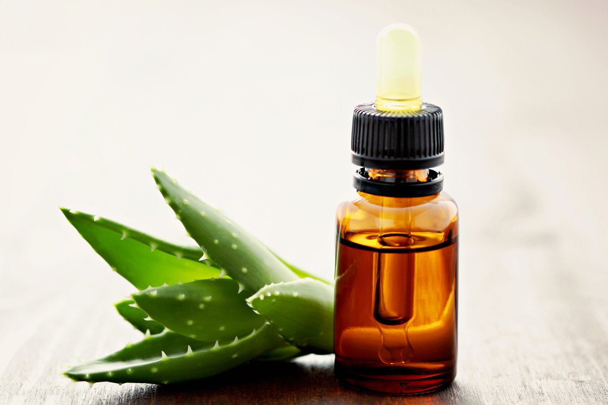 طريقة عمل سيروم الصبار للشعر