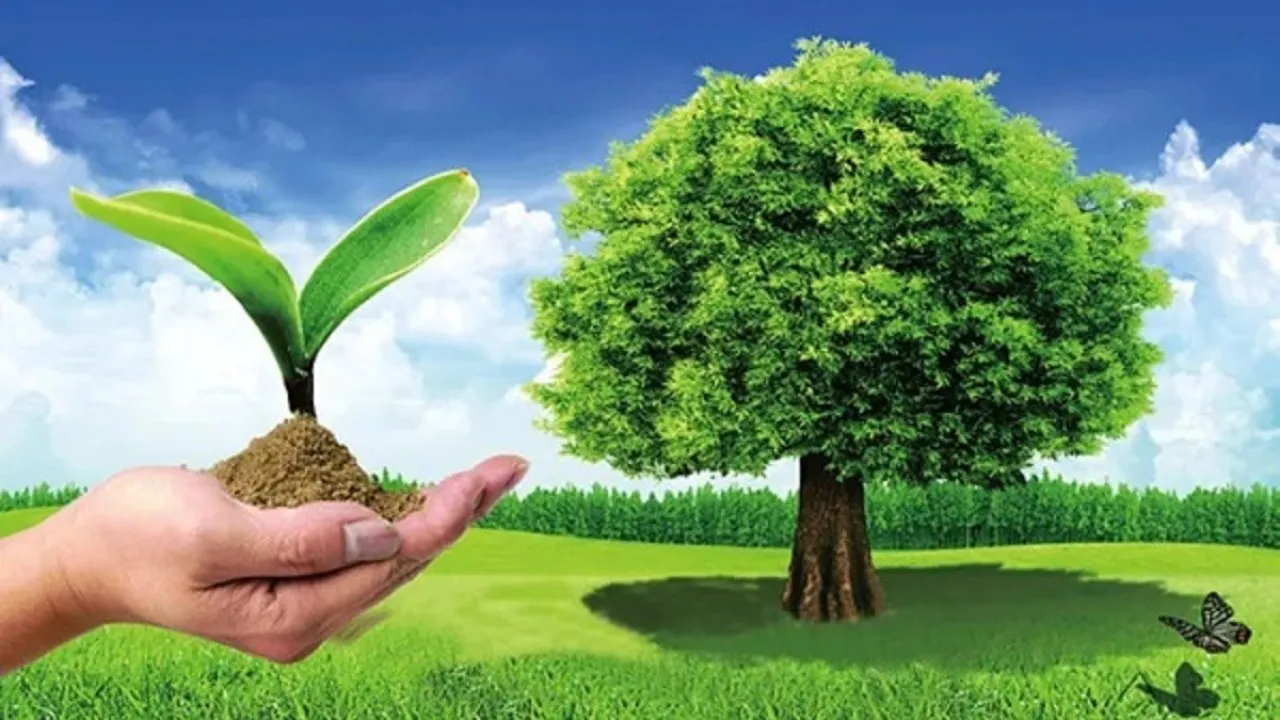 ما الاسم العلمي للانظمه البيئيه الرئيسيه على الارض