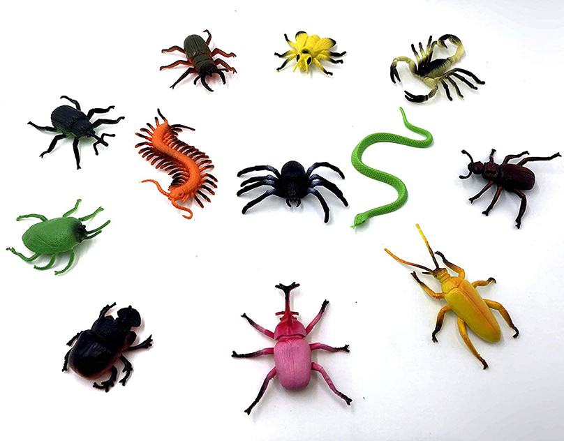 ما فوائد ومضار الهيكل الخارجي