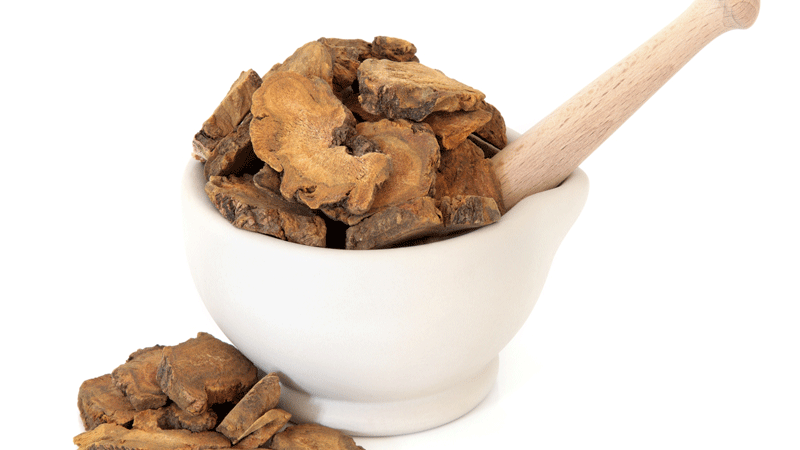 فوائد عشبة الراوند للسحر