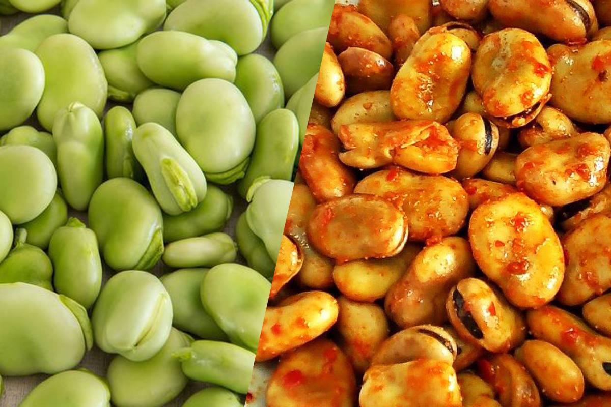 طبخ الفول الأخضر