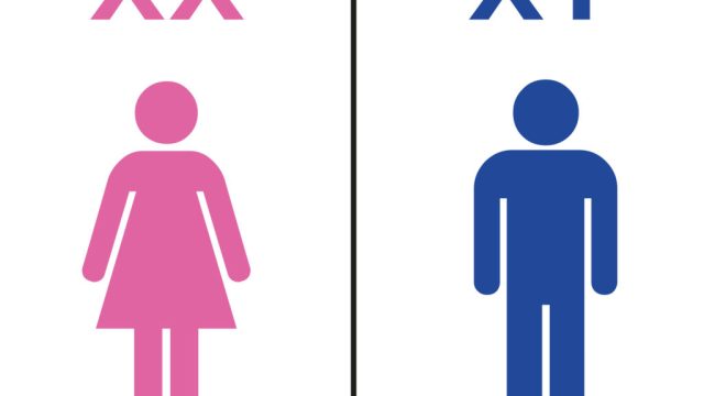 كيفية تحديد نوع الجنين قبل الحمل