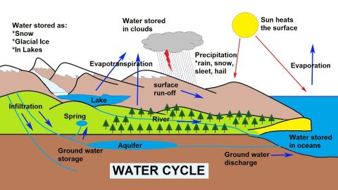 مراحل دورة الماء في الطبيعة