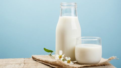 الفرق بين الحليب الحيواني والحليب النباتي