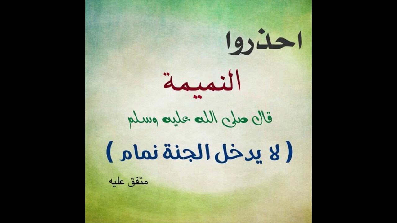 ما هو القتات في الإسلام