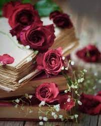 خلفيات ورد كيوت