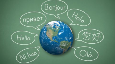 جدول زمني لتعلم لغة جديدة مجرب