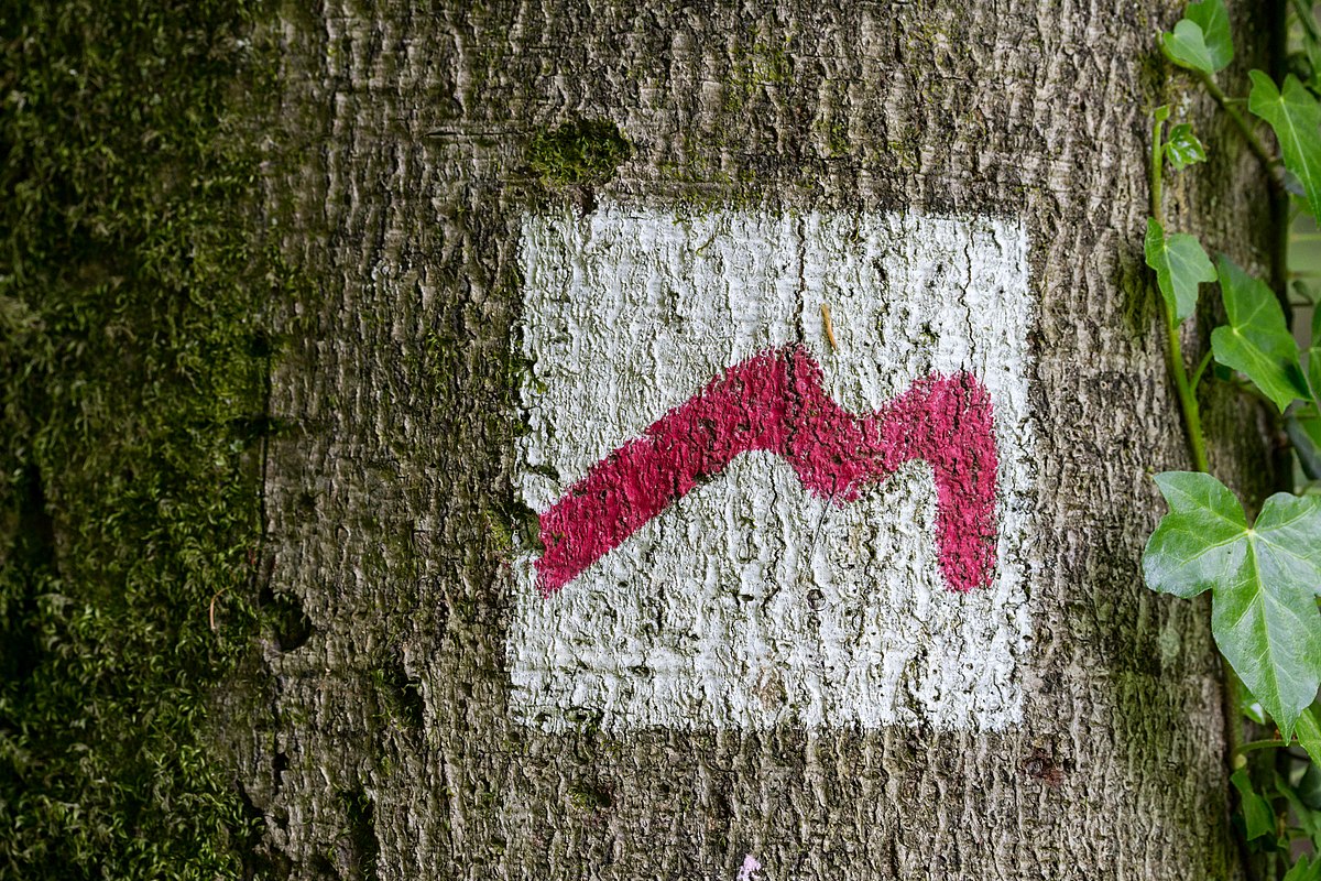 تفسير حرف m في المنام للمتزوجة ودلالته