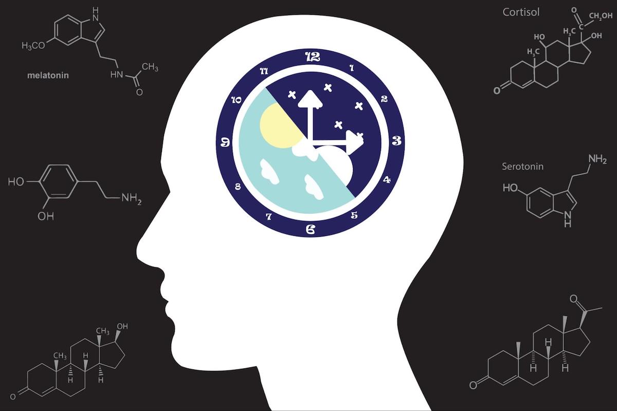 هل تعلم عن الساعة البيولوجية